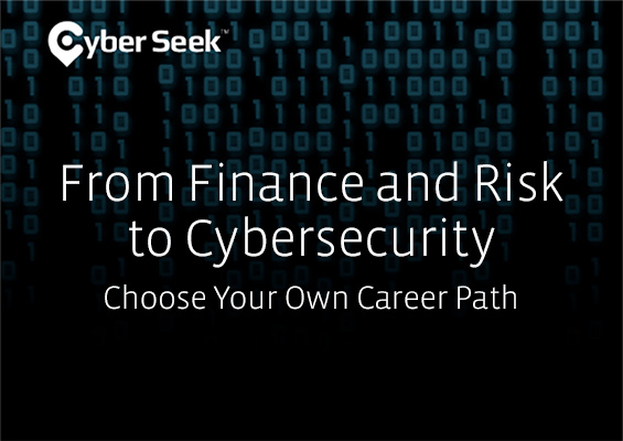 From Financial and Risk Analysis to Cybersecurity: Choose Your Own Career Path