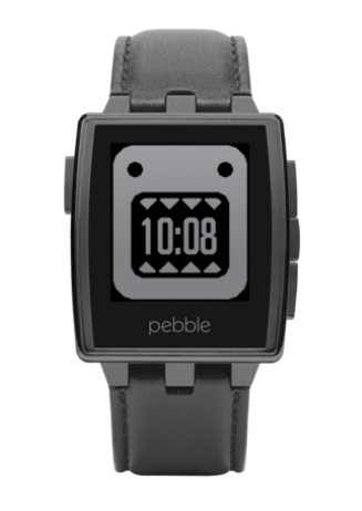 Pebble Steel Watch