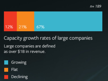 Mainframe Capacity Large Companies